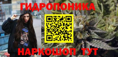 гашик Тара